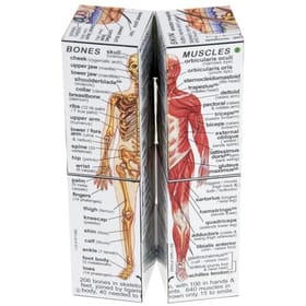 Zoobookoo Cube Book - Human Body image