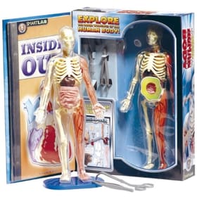 Human Body Kit image 1