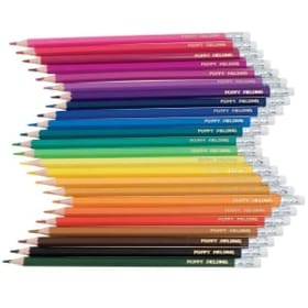 24 Named Erasable Colouring Pencils image