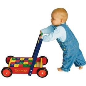 Baby Walker (with ABC blocks) image 1