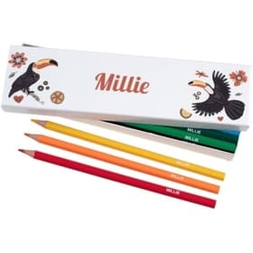 Box of 12 Named Colouring Pencils - Toucans image 1