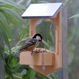 Build Your Own Bird Feeder image 2