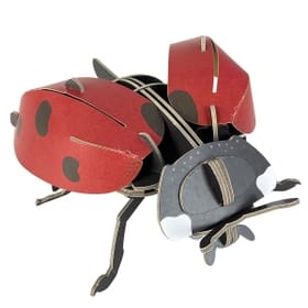 Build Your Own Ladybird Kit image 1