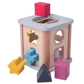 Shape Sorter - FSC image