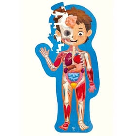Human Body Puzzle image 2
