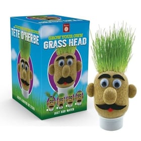 Mr Grasshead image 1