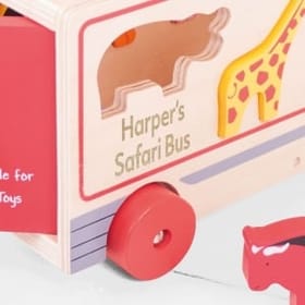 Safari Sorting Lorry image 2