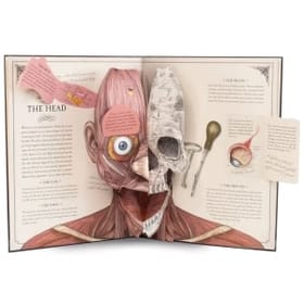 Human Body Pop Up Book image 1