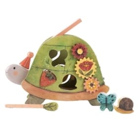Activity Turtle