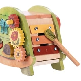 Back of Activity Turtle