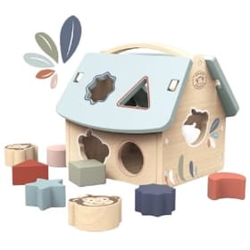 House Shape Sorter