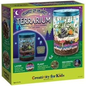 Grow 'n' Glow Terrarium Box