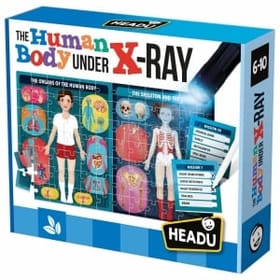 The Human Body Under X-Ray image 1
