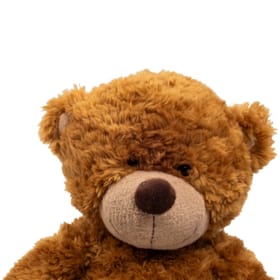Bonnie Brown Bear image 1