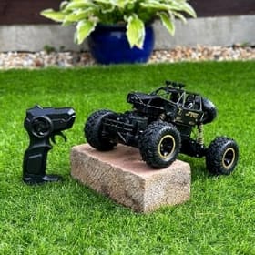 Remote Control Rock Crawler Outside