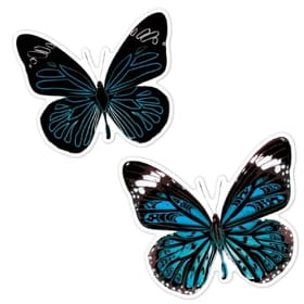 Scratch Stickers - Butterfly Before and After