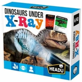 Dinosaurs Under X-Ray