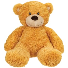 Bonnie Honey Bear Front