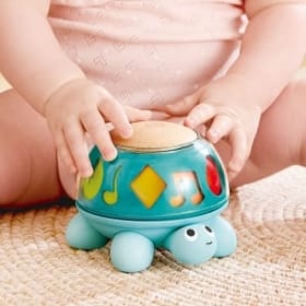 Twist & Tune Turtle Image 2