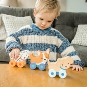 Puppy Push Toys image 1
