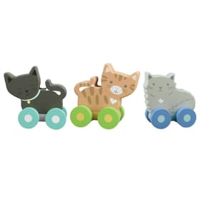 Kitty Push Toys