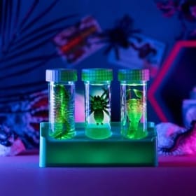 Creepy Crawly Digging Lab image 1