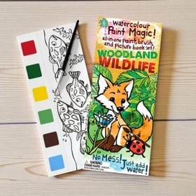Paint Magic - Woodland Wildlife image 1
