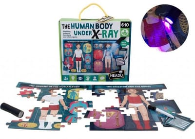 Human Body Kit