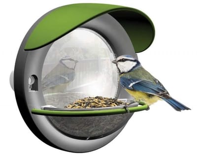 Window Bird Feeder