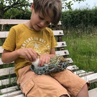 Bird Nest Kit
