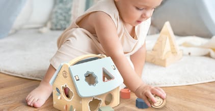 House Shape Sorter