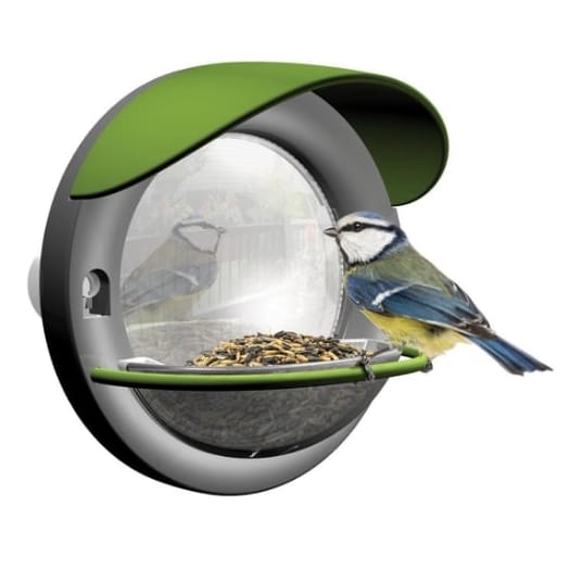 Window Bird Feeder