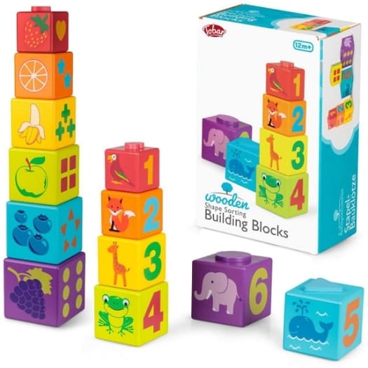 Shape Sorting Building Blocks