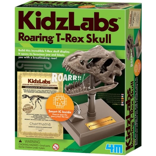 Roaring T-Rex Skull