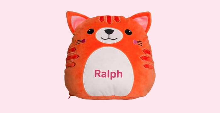Personalised Squidgy Ginger Cat