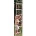 Rope Ladder image 2