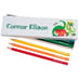 Box of 12 Named Colouring Pencils - Dinosaurs image 1