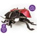 Build Your Own Ladybird Kit image 3