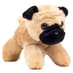 Fancy Pal Pug