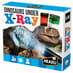 Dinosaurs Under X-Ray