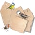 Build a Bird House birds