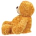 Bonnie Honey Bear Side